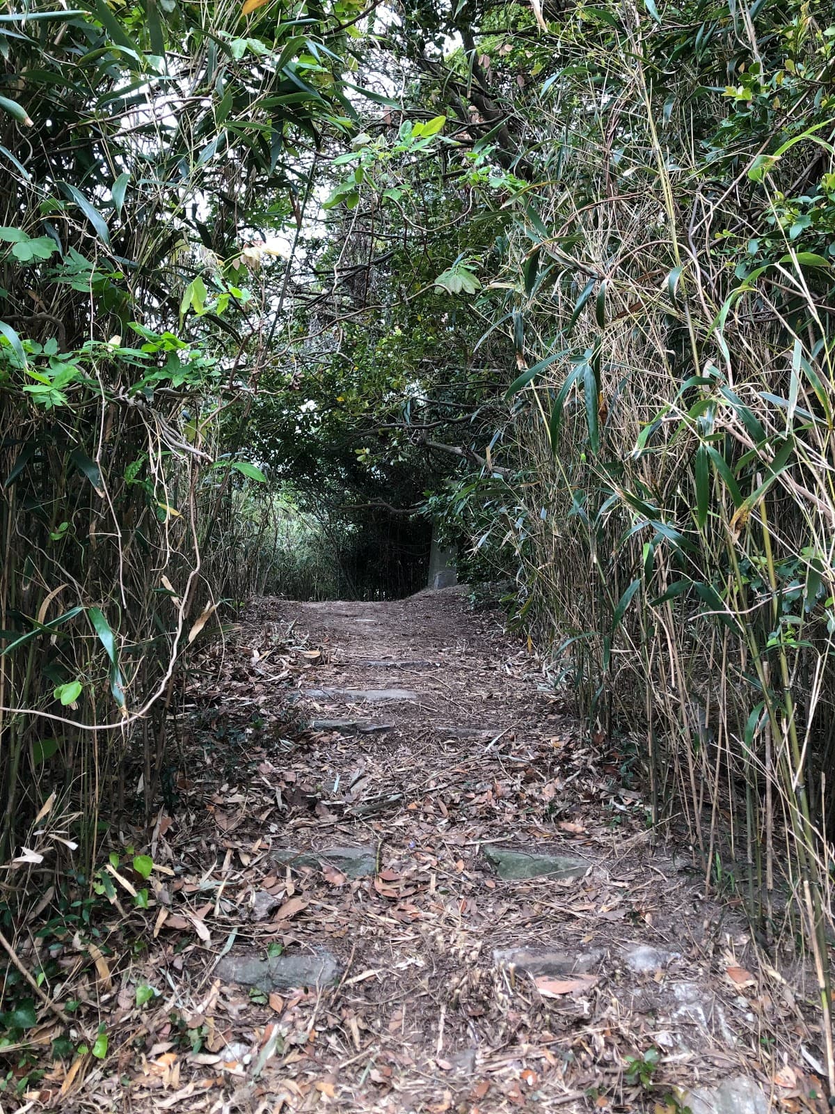 志賀島プライベートキャンプ場「しかのてっぺん」