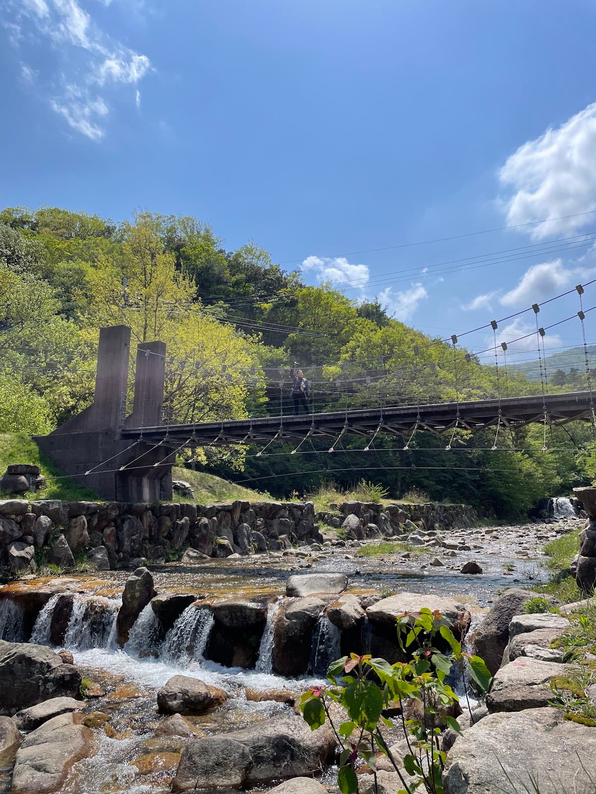 マキノ高原キャンプ場 川サイト