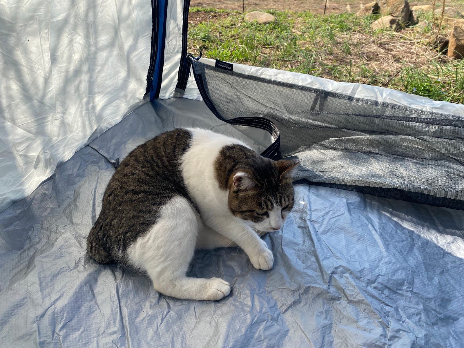 森の音床 野営キャンプ場