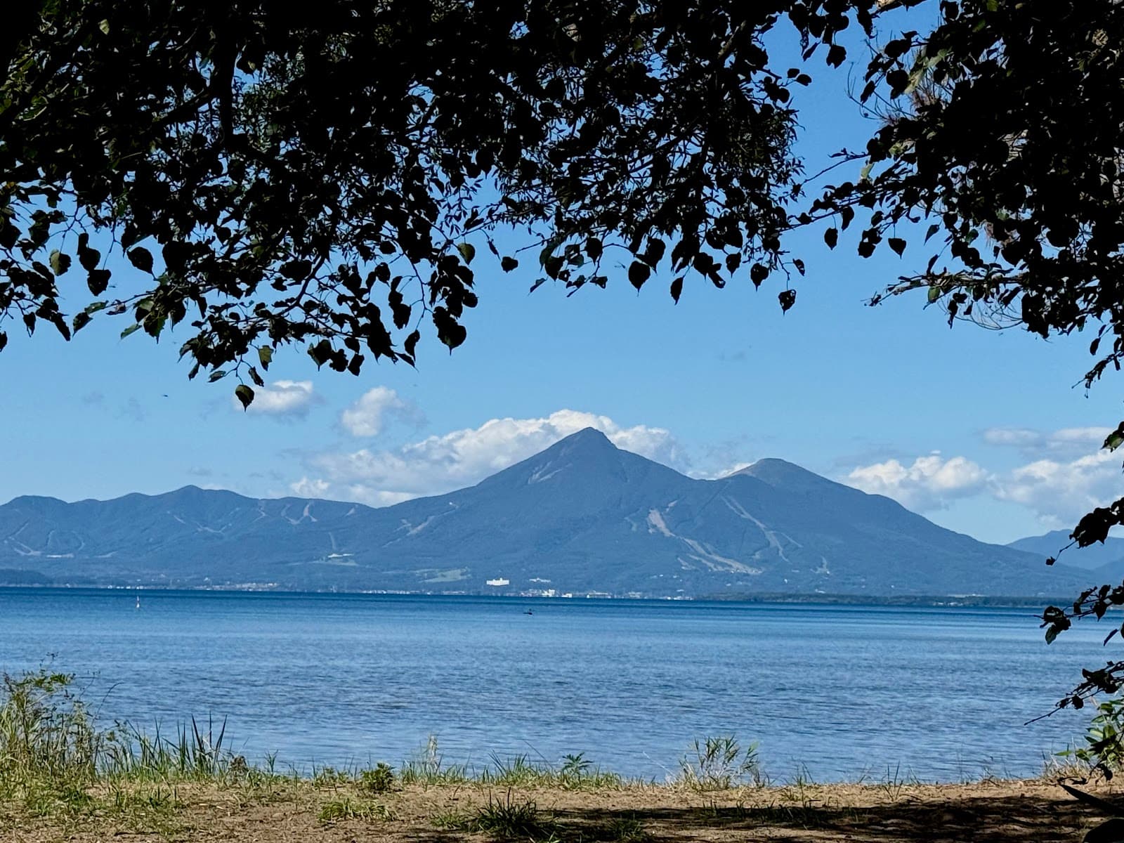 浜路キャンプ村