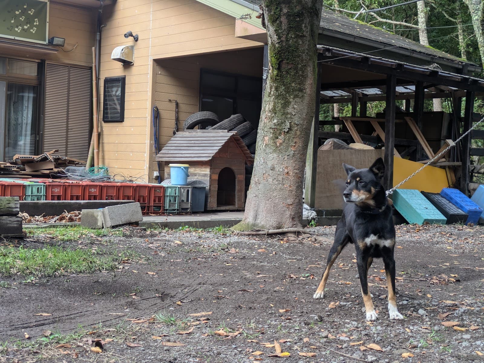 湯布院クリアウォーター ミュージックキャンプサイト