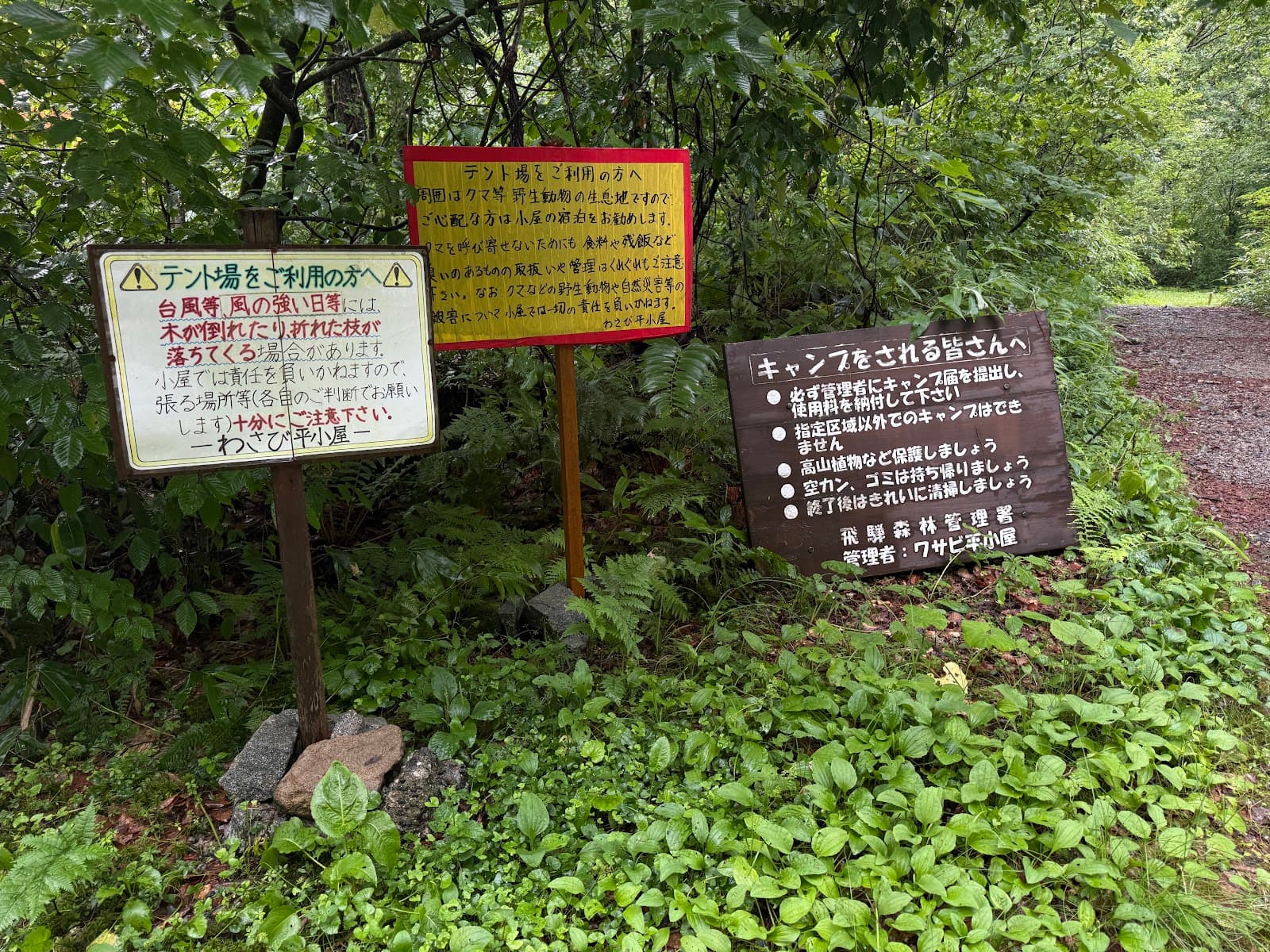 わさび平小屋テント場