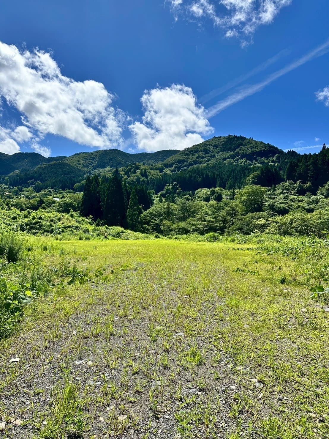 SHIROTORI CAMP BASE yuragi