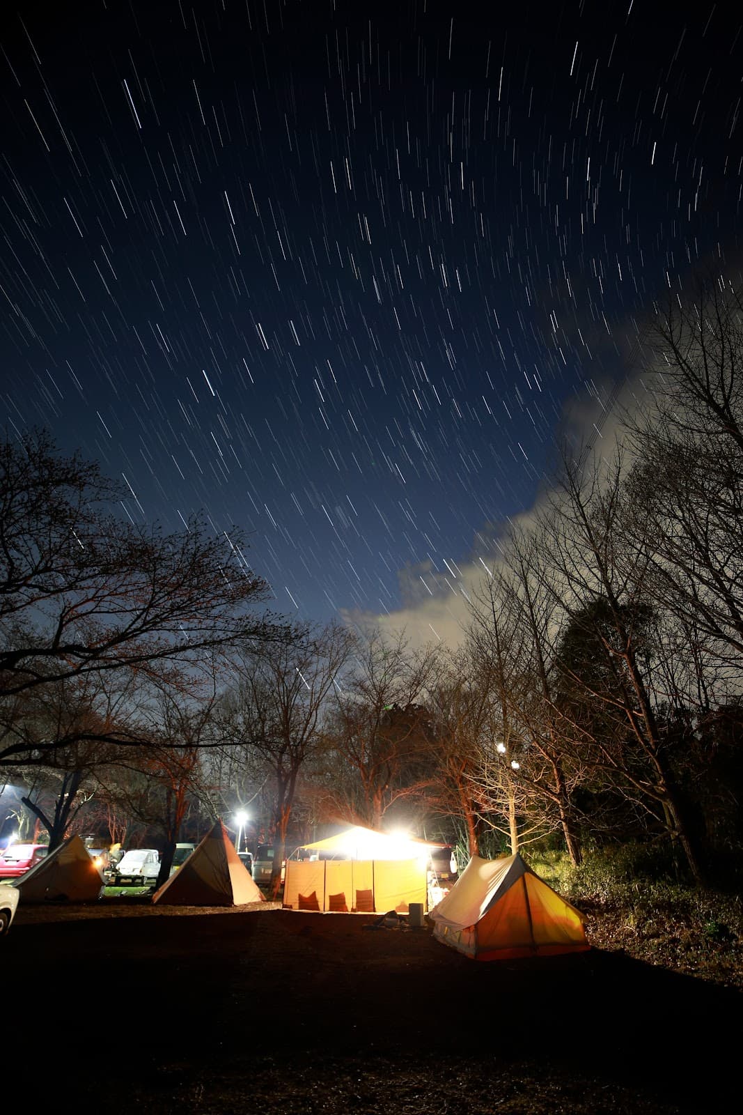 六斗の森 オートサイト