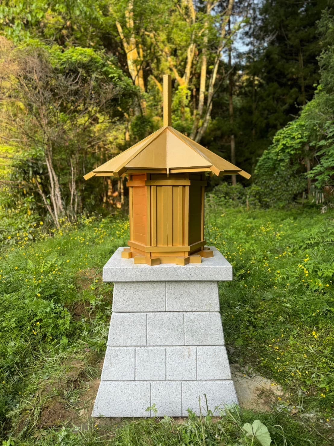 CoGoSeキャンプ場