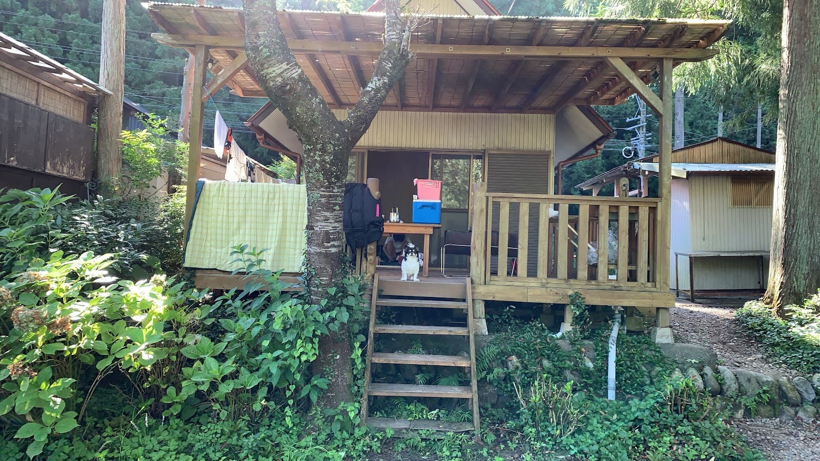 迎島バンガロー