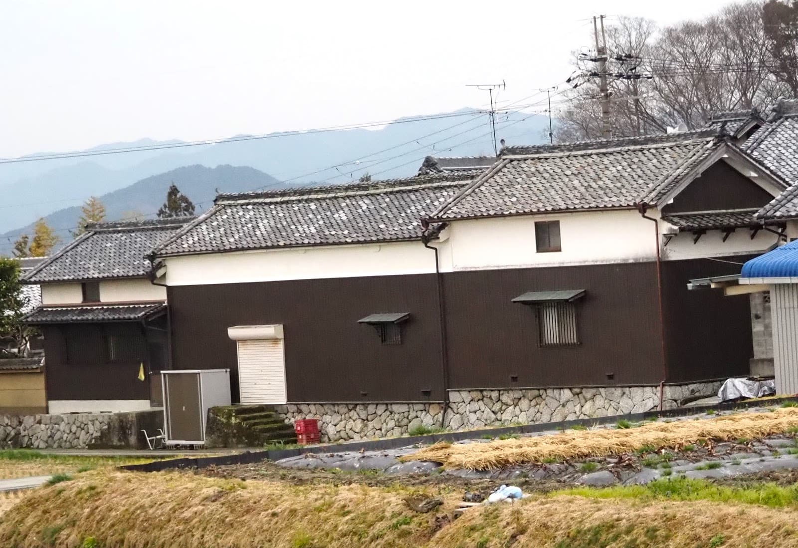 Bush Camp Site 千代酒造