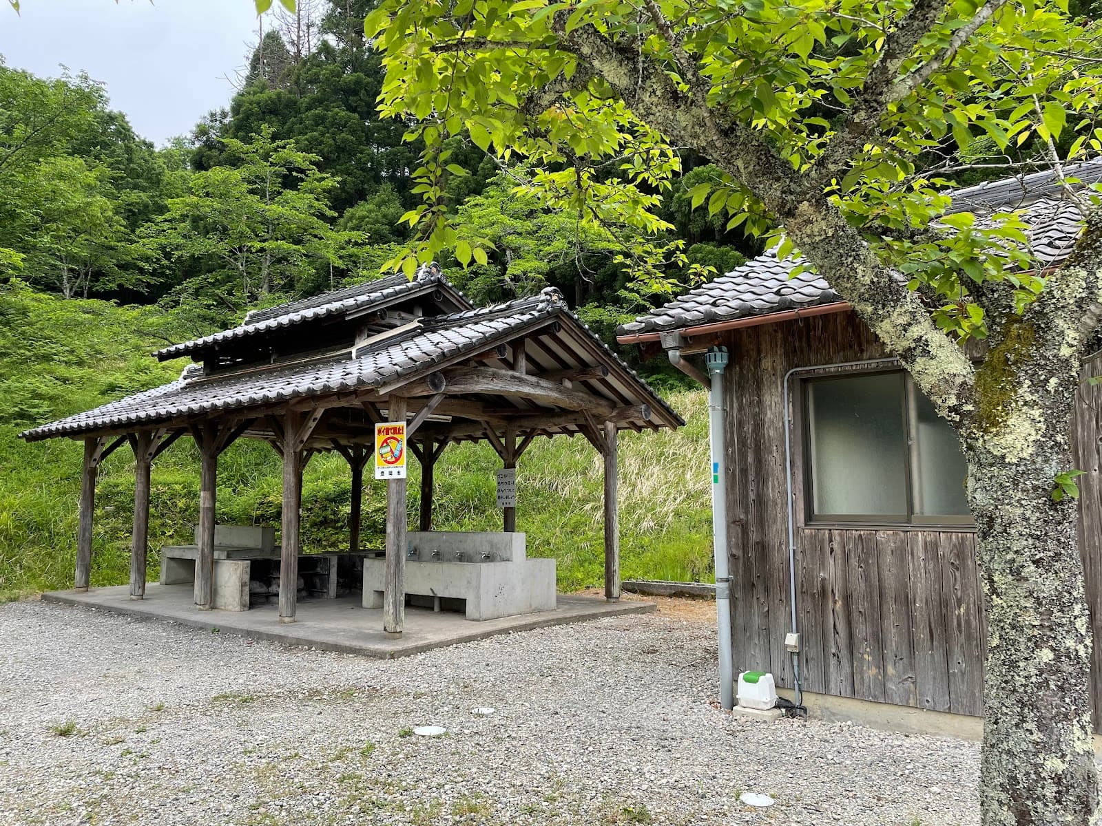 豊岡市大師山自然公園キャンプ場
