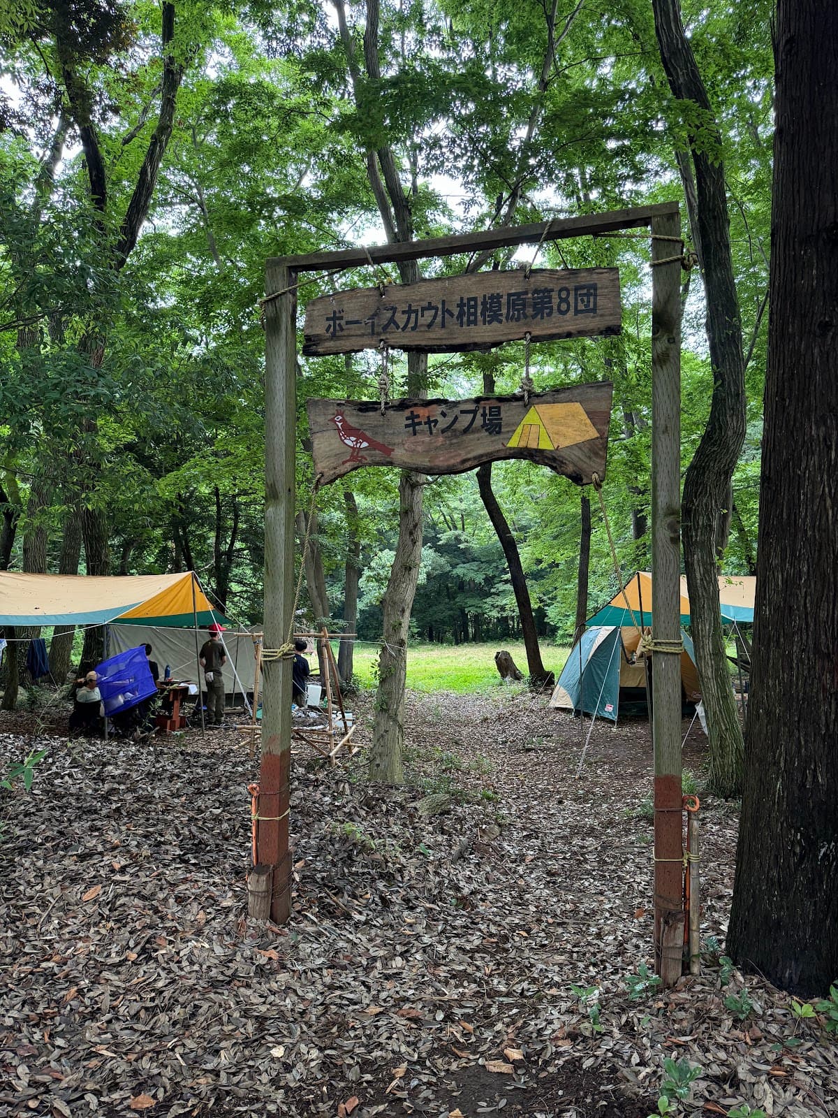 ボーイスカウト相模原第8団野営場