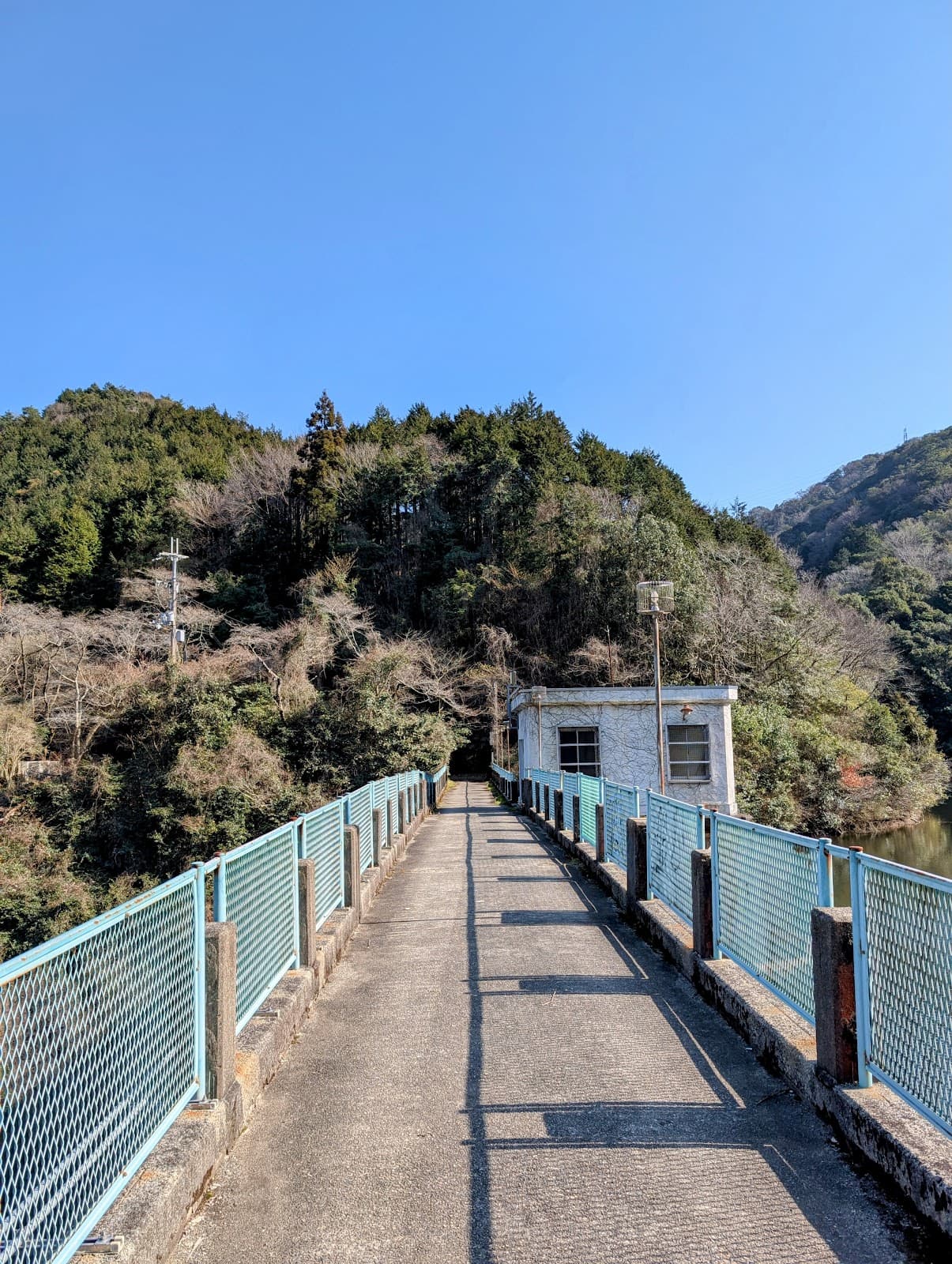 鳥取池緑地・桜の園
