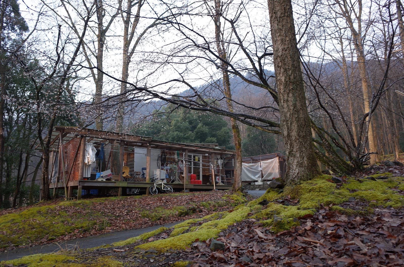 ファイブオーシャン奥琵琶湖ログホームビレッジ