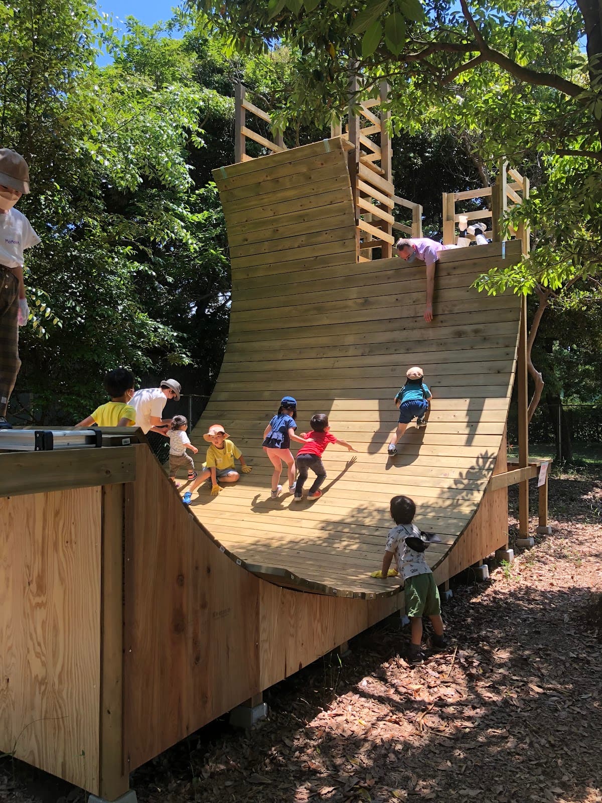 森のあそびば・森のいえ・森のごはん(森の株式会社)