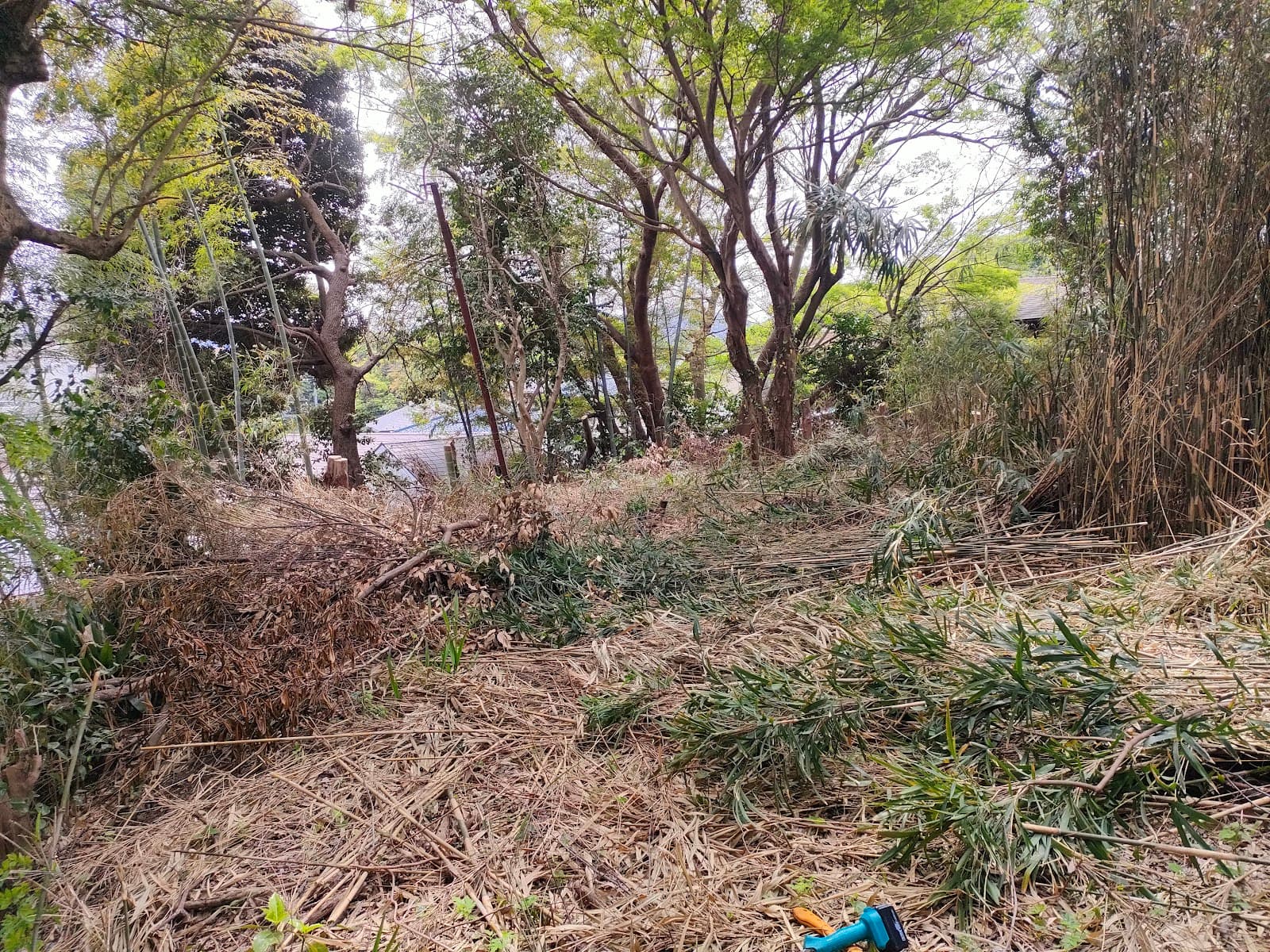 横須賀キャンプベース