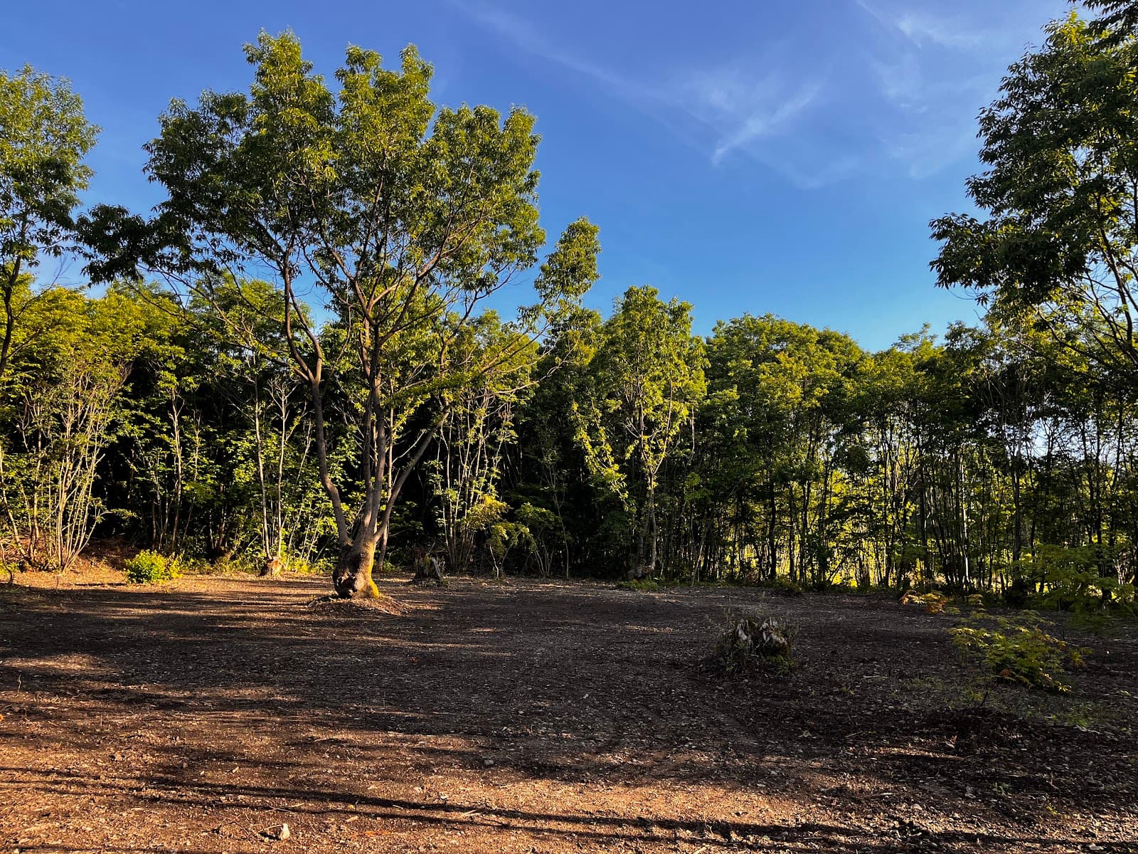 まきのもりプライベートキャンプ場