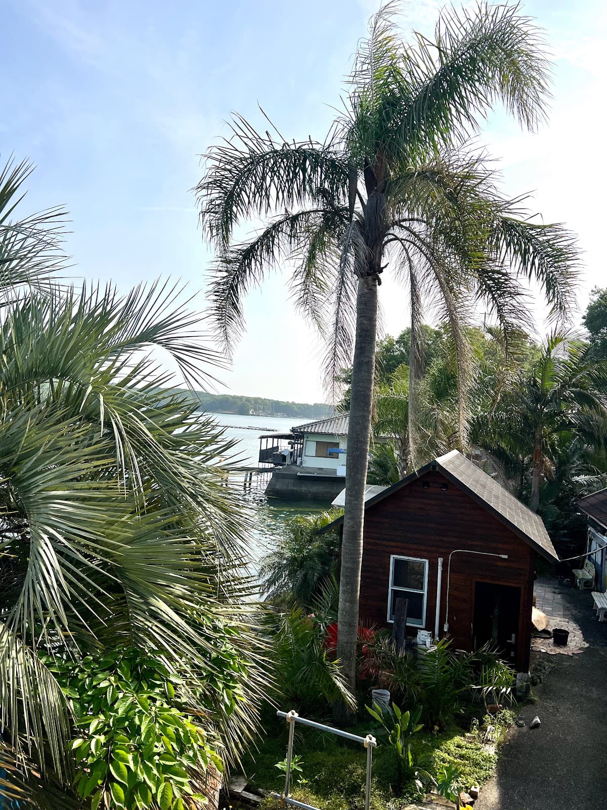 くじらのしっぽ＿キャンプサイト