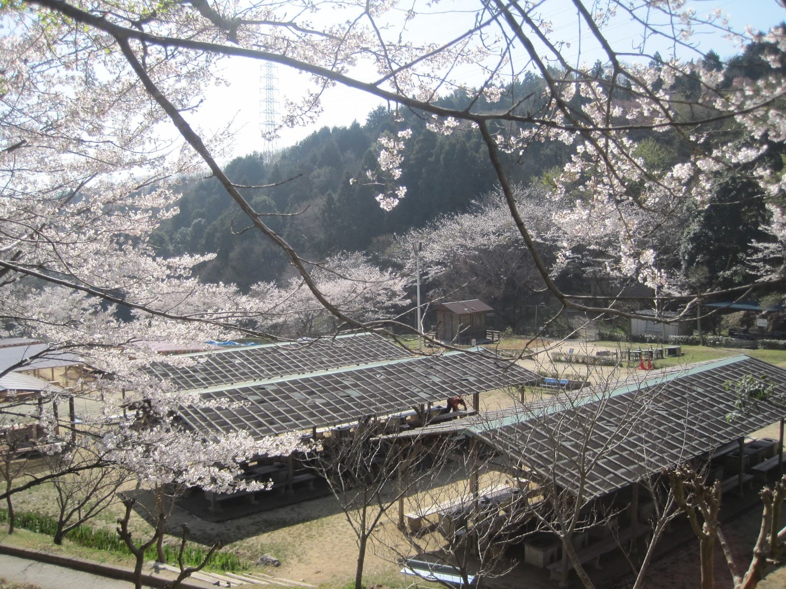 デイキャンプ場（農業公園信貴山のどか村）