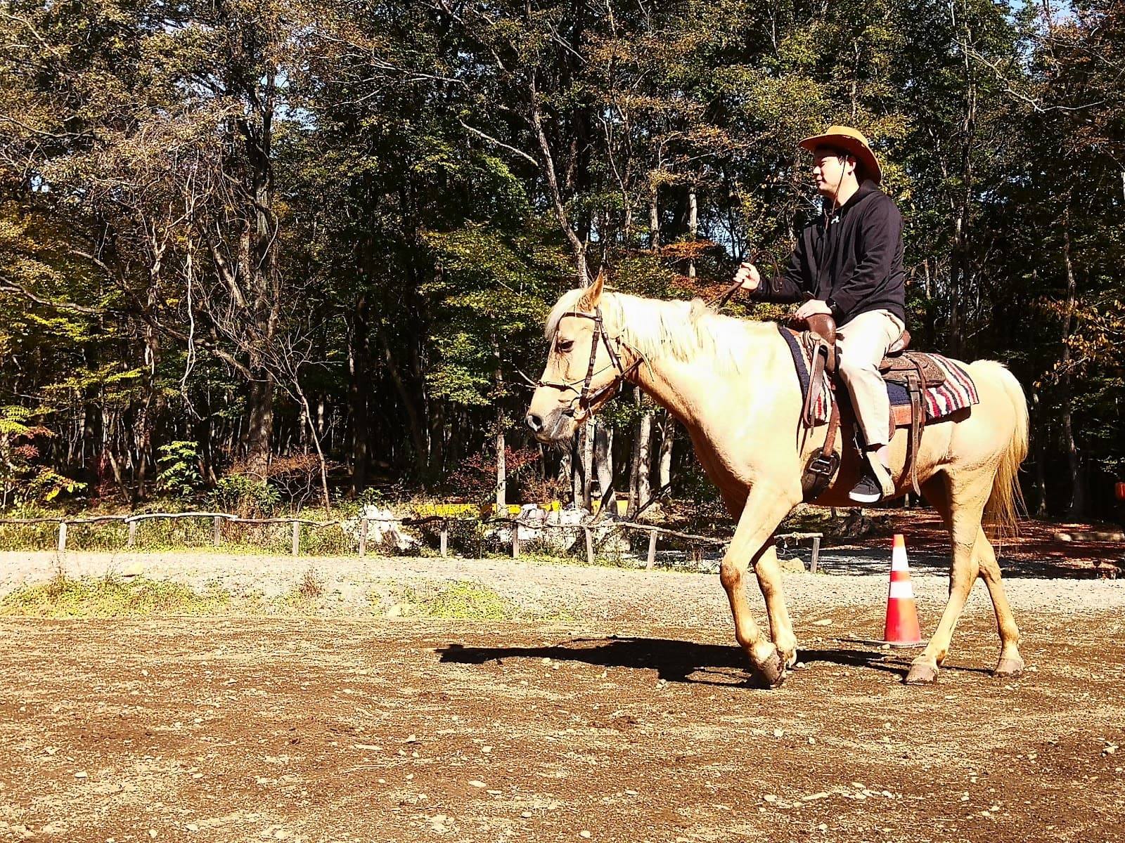 那須 ウエスタンファーム 乗馬 ふれあい動物園 ワンちゃん歓迎 犬同伴