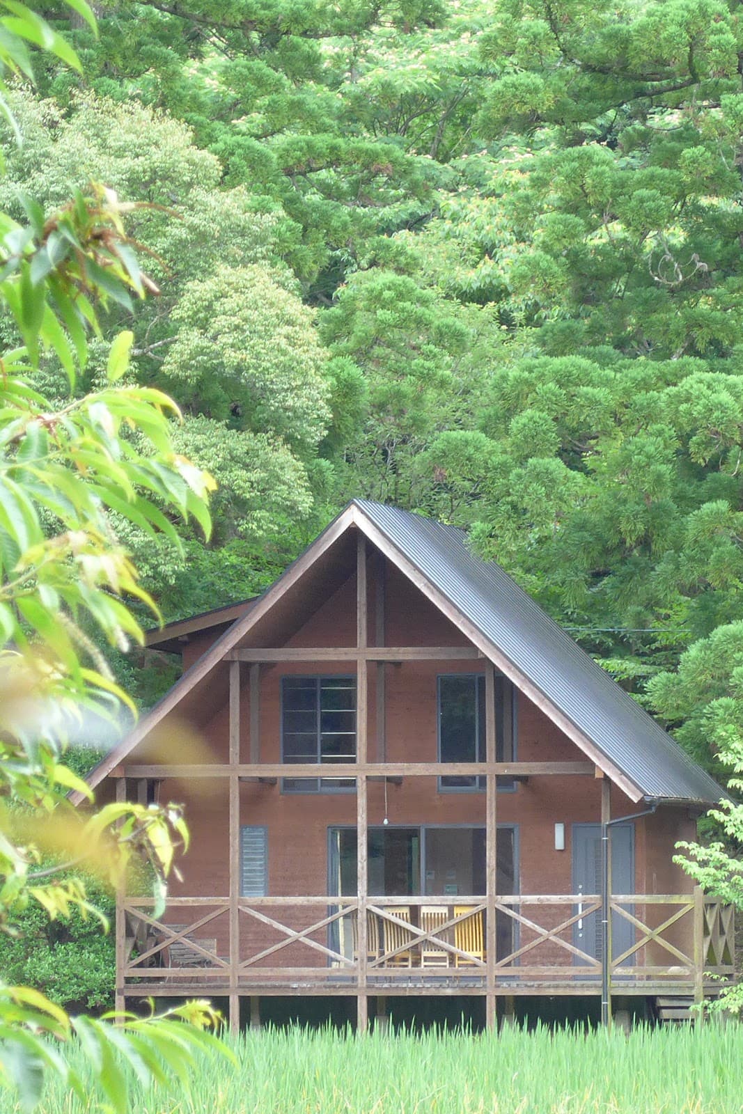 池の山キャンプ場