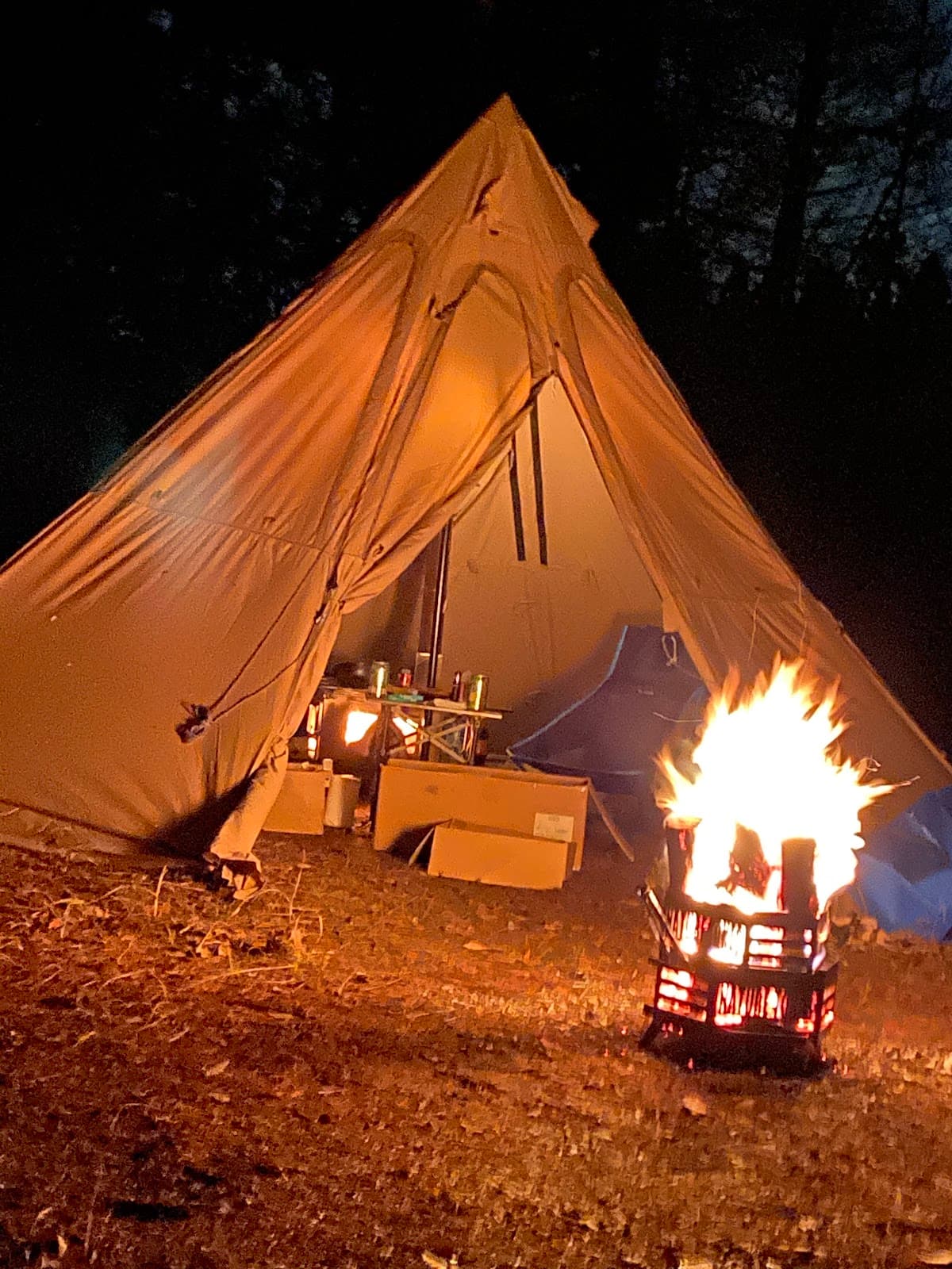 宮野平自然の森