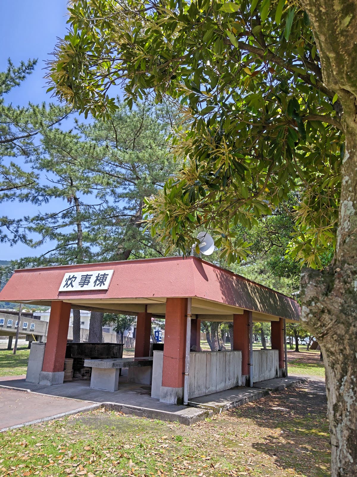 国分キャンプ海水浴場