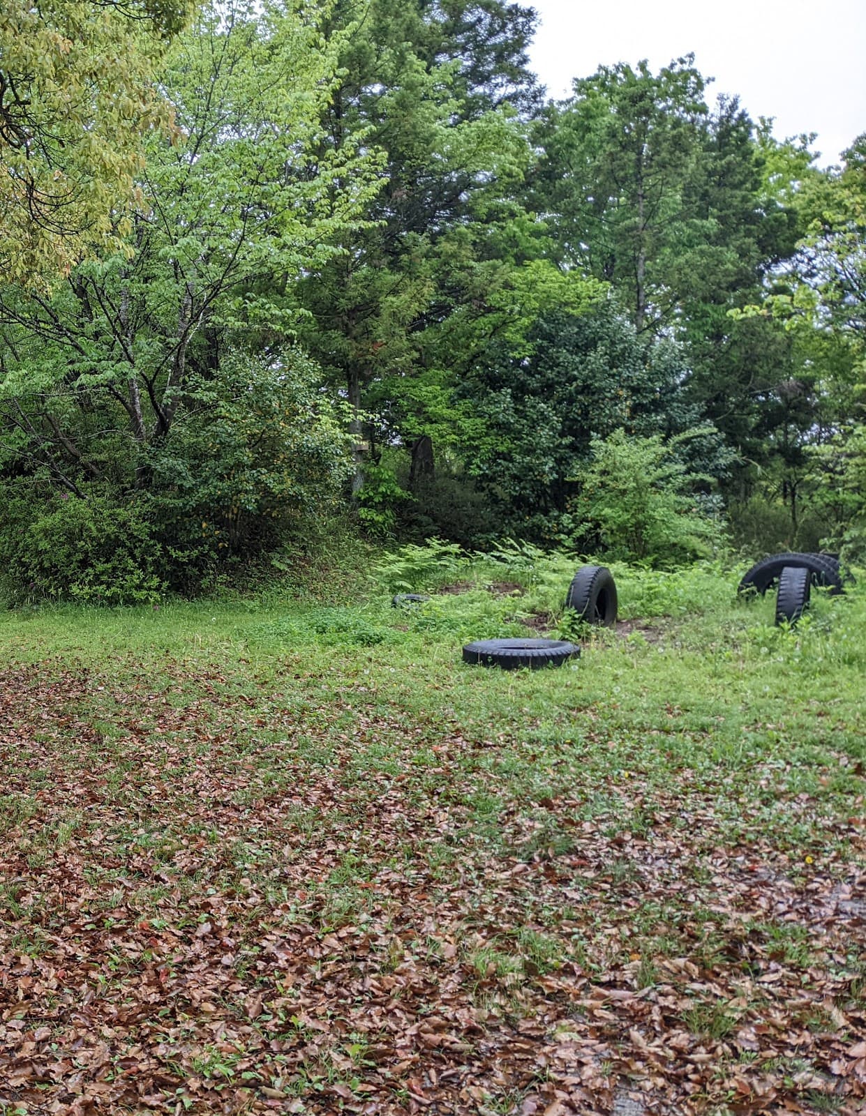 ボーイスカウト東京連盟足立８団野営場