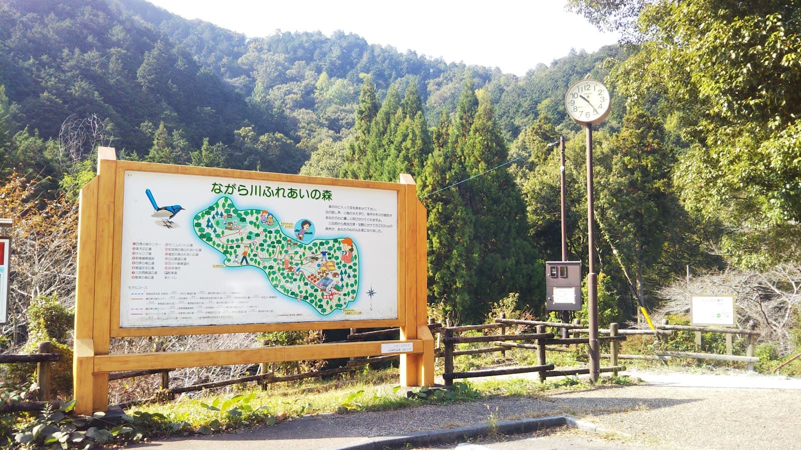 ながら川ふれあいの森キャンプ場