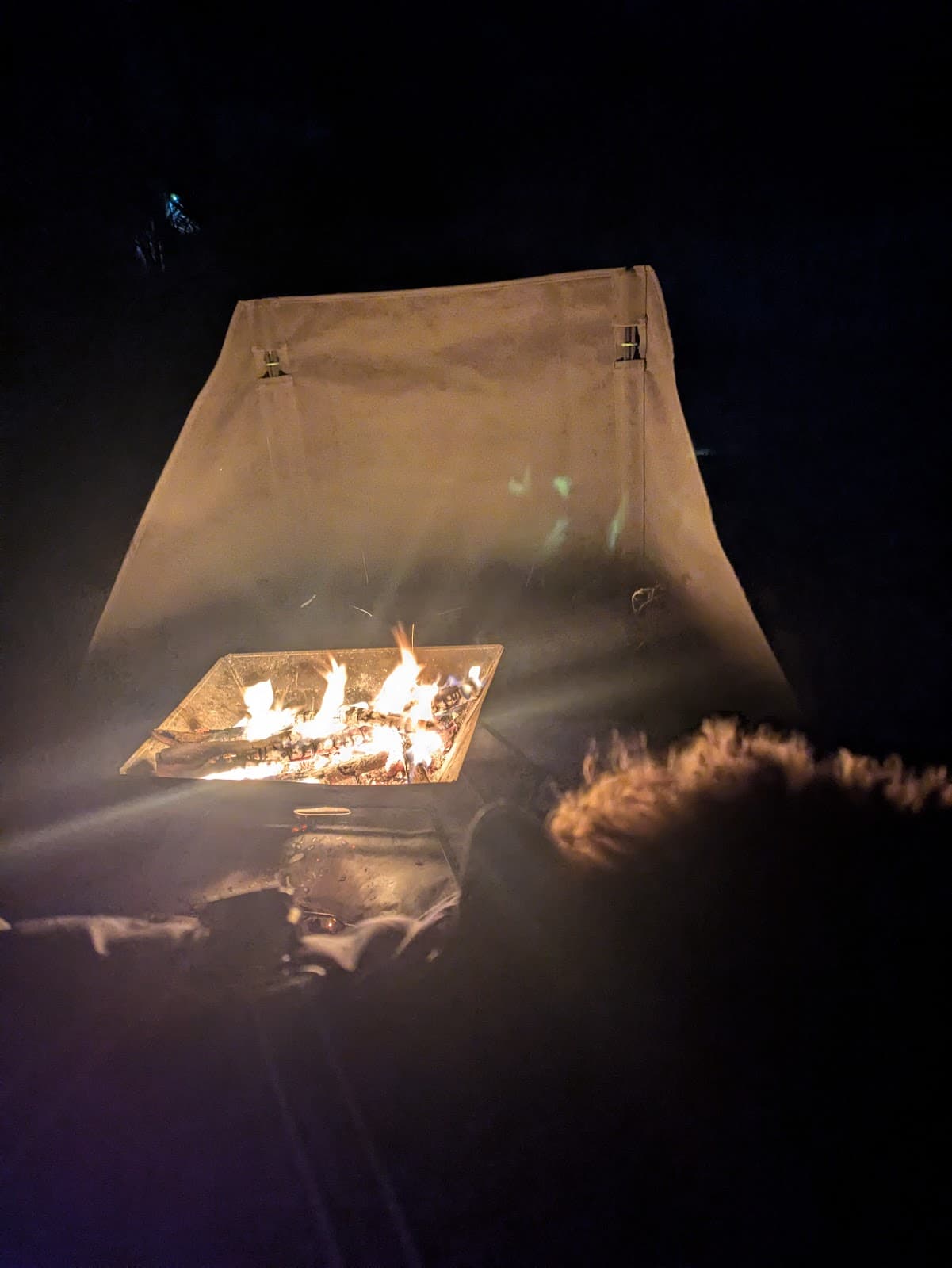 こっとん村 キャンプサイト