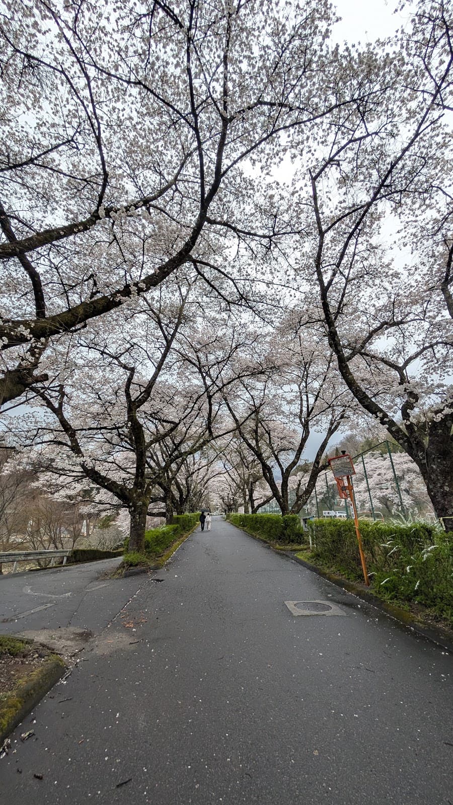与田切公園キャンプ場