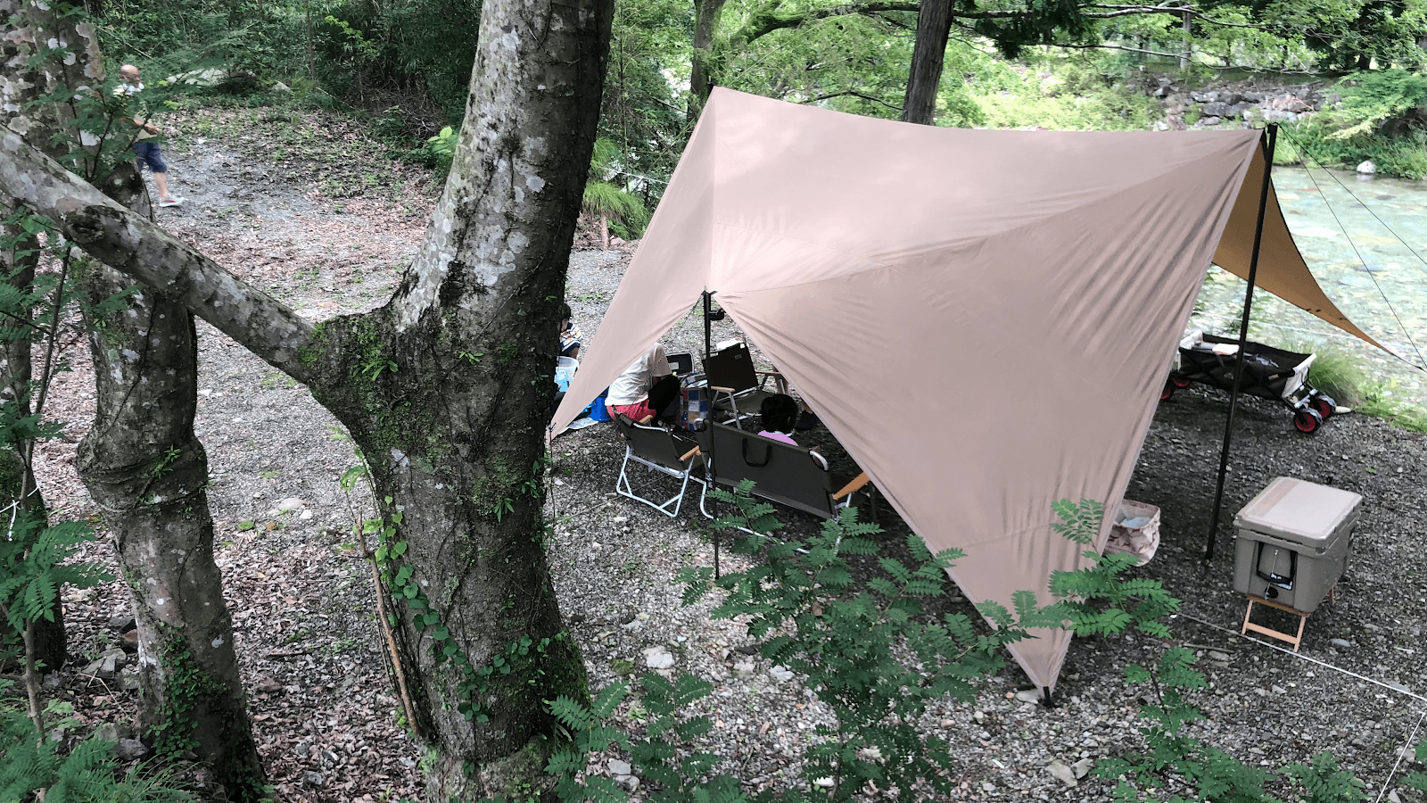 ジップラインユメサキ