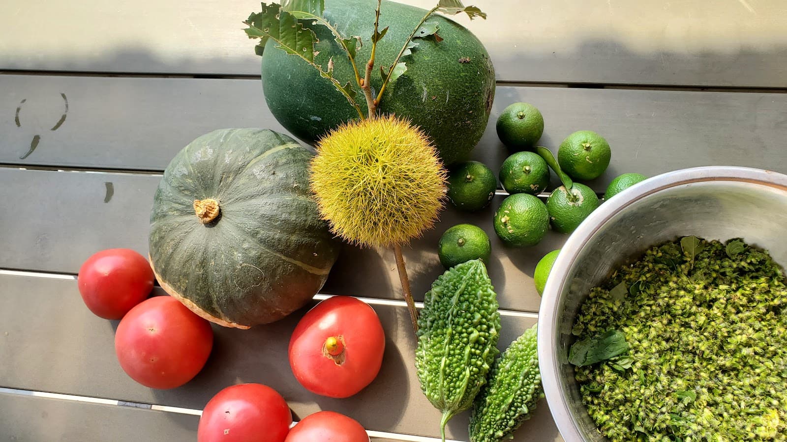 ドッグラン&カフェ横芝光