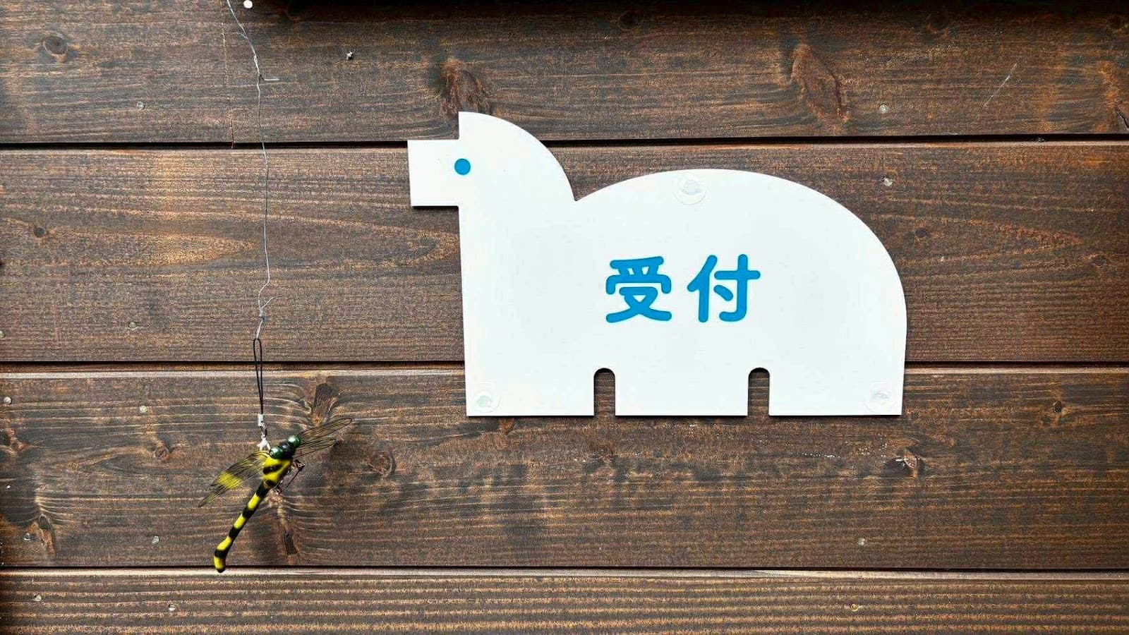 maze camp (馬瀬キャンプ場)