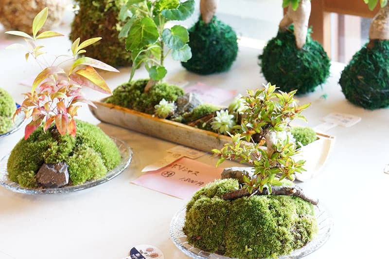 青葉山ハーバルビレッジ