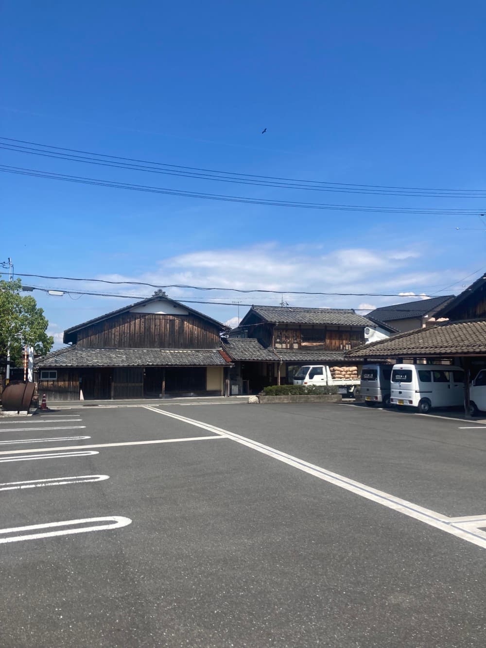 Bush Camp Site 川島酒造