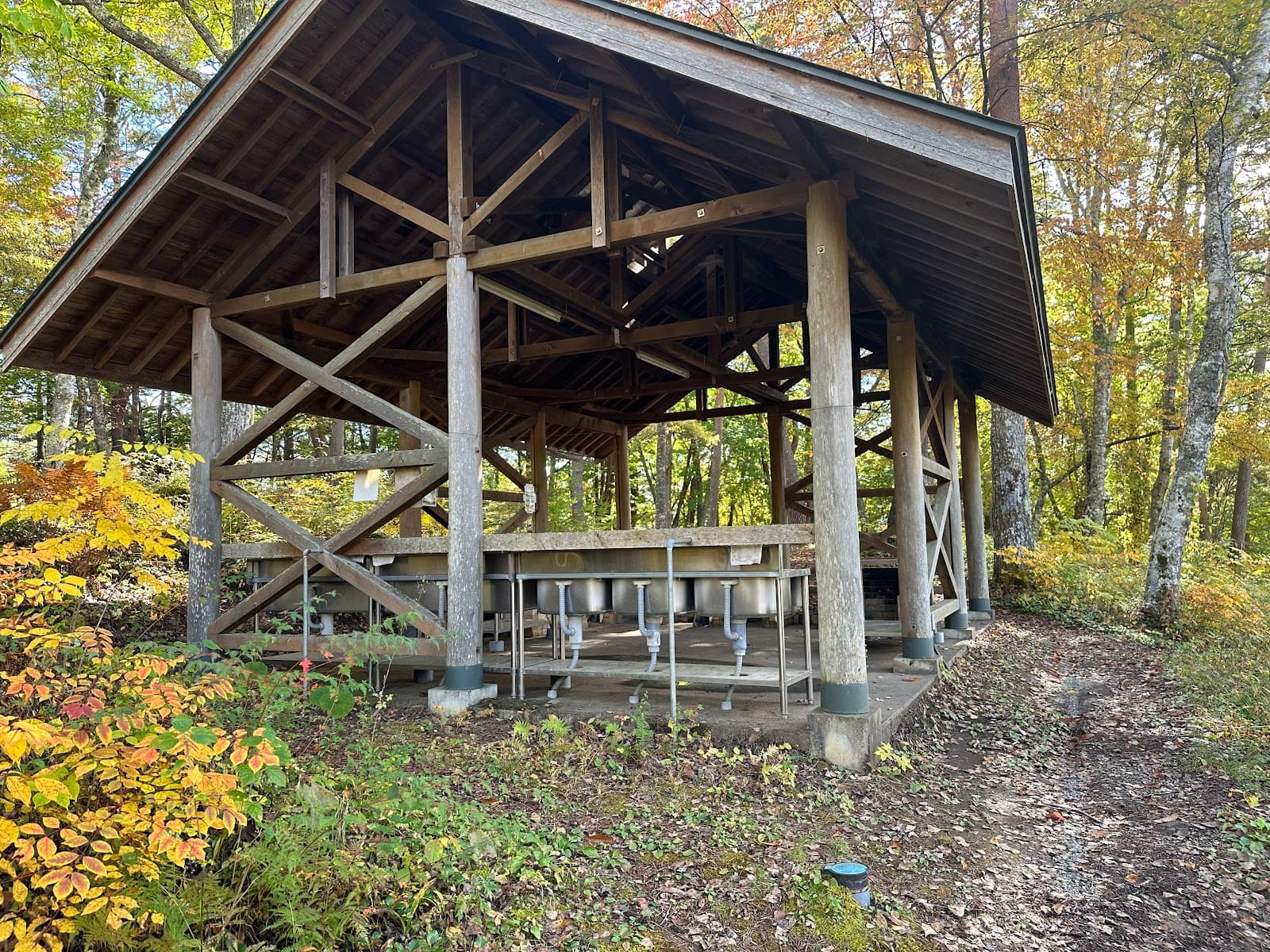 大池高原キャンプ場