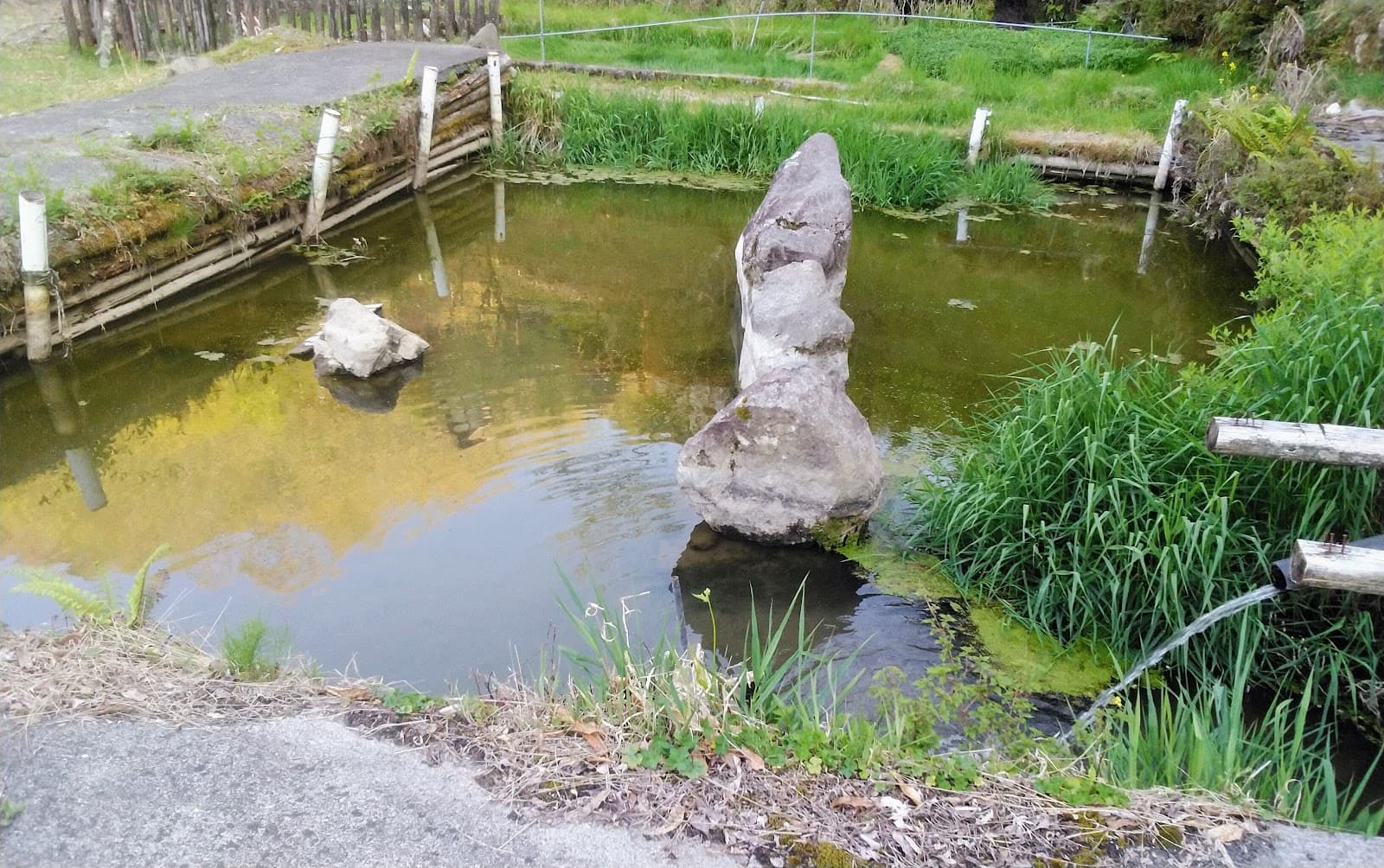 林間広場(テント場)