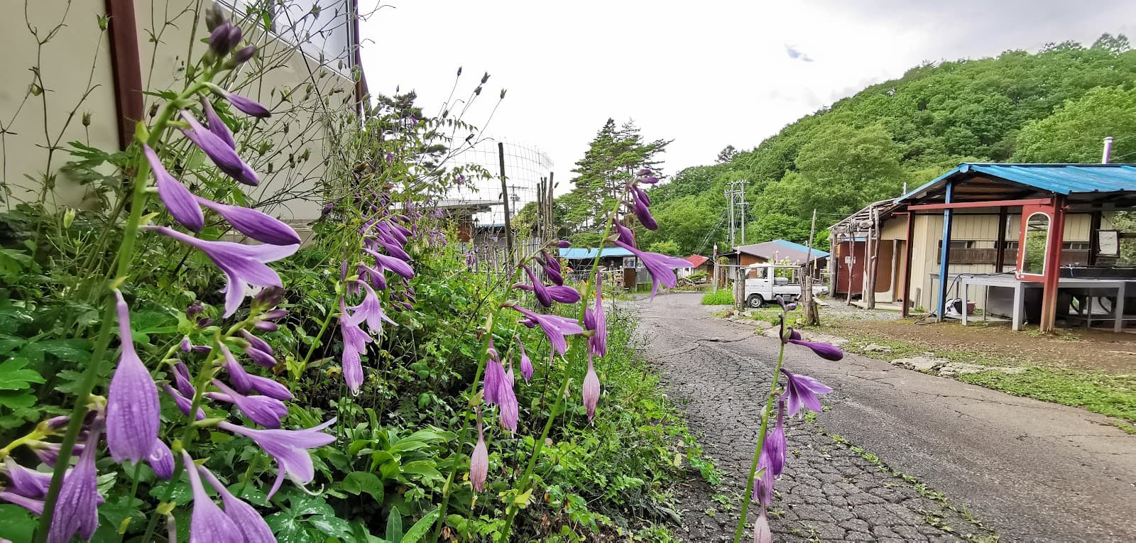 大滝キャンプ場