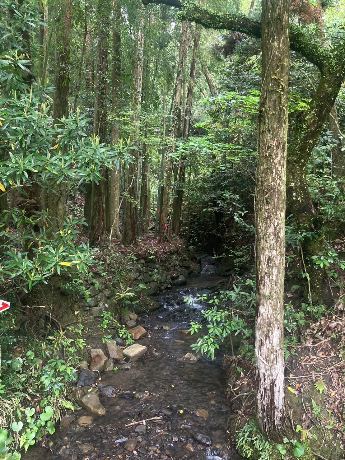 田代公園キャンプ場