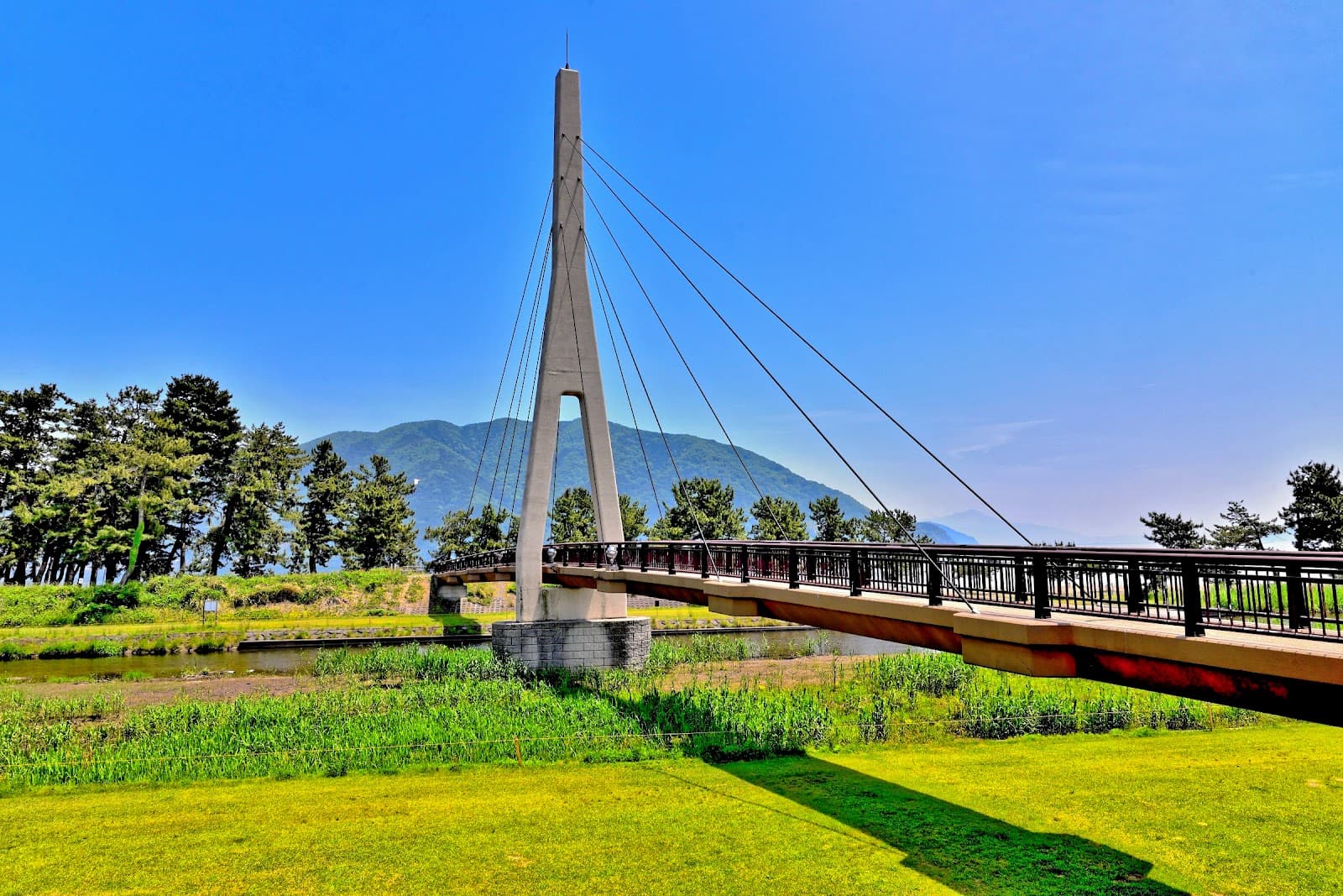 知内浜オートキャンプ場