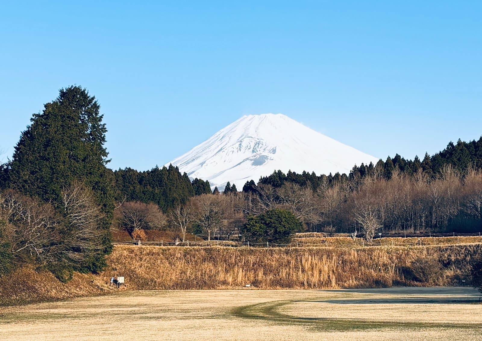 十里木BASEキャンプ場