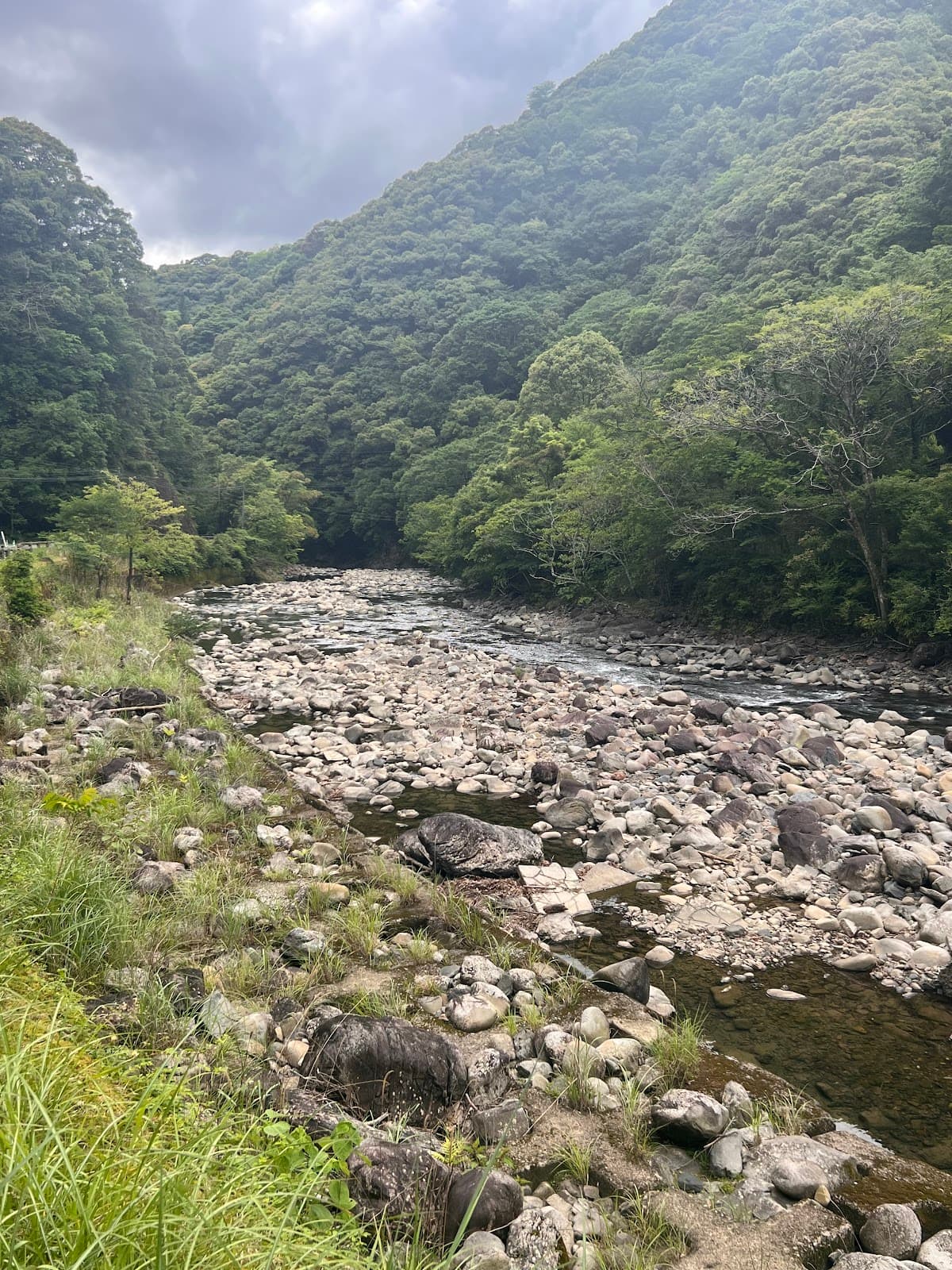 ワカヤボキャンプ場