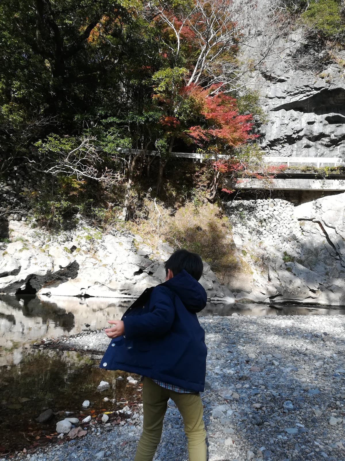 小半森林公園総合案内所