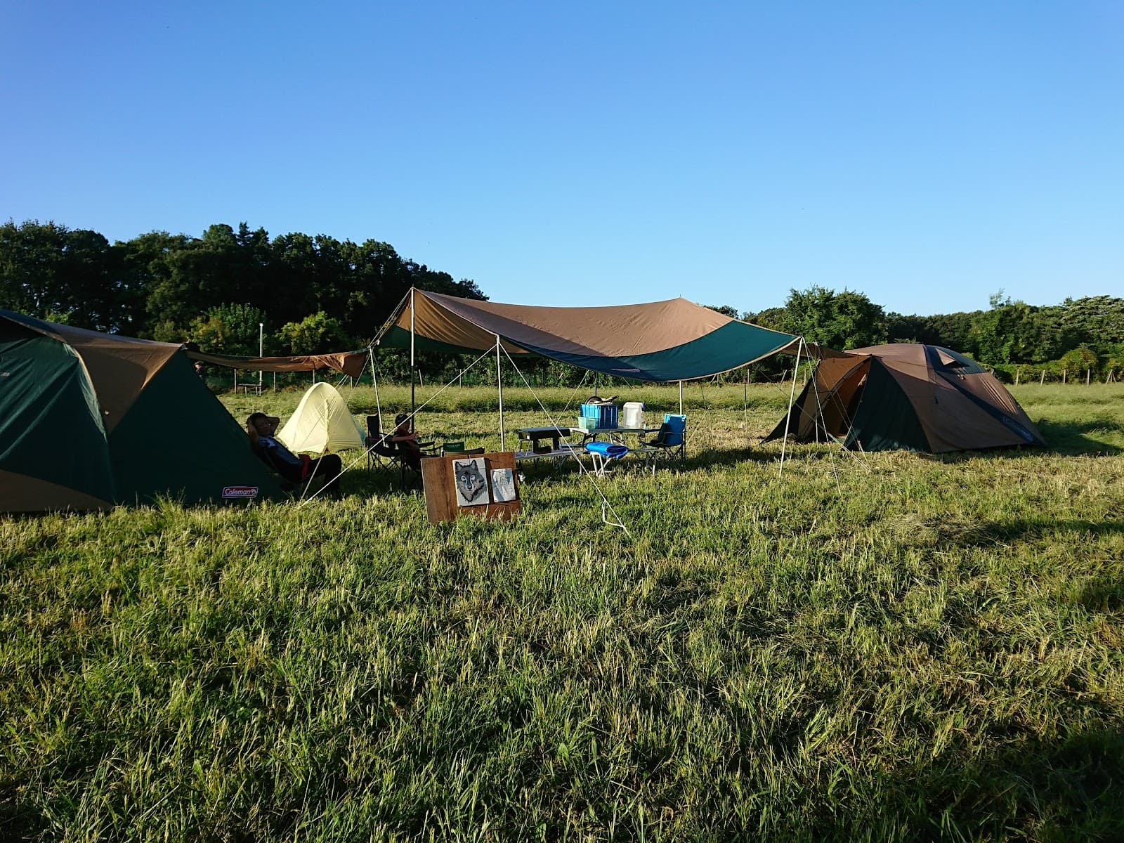 ひよどり山キャンプ場（予約必須）