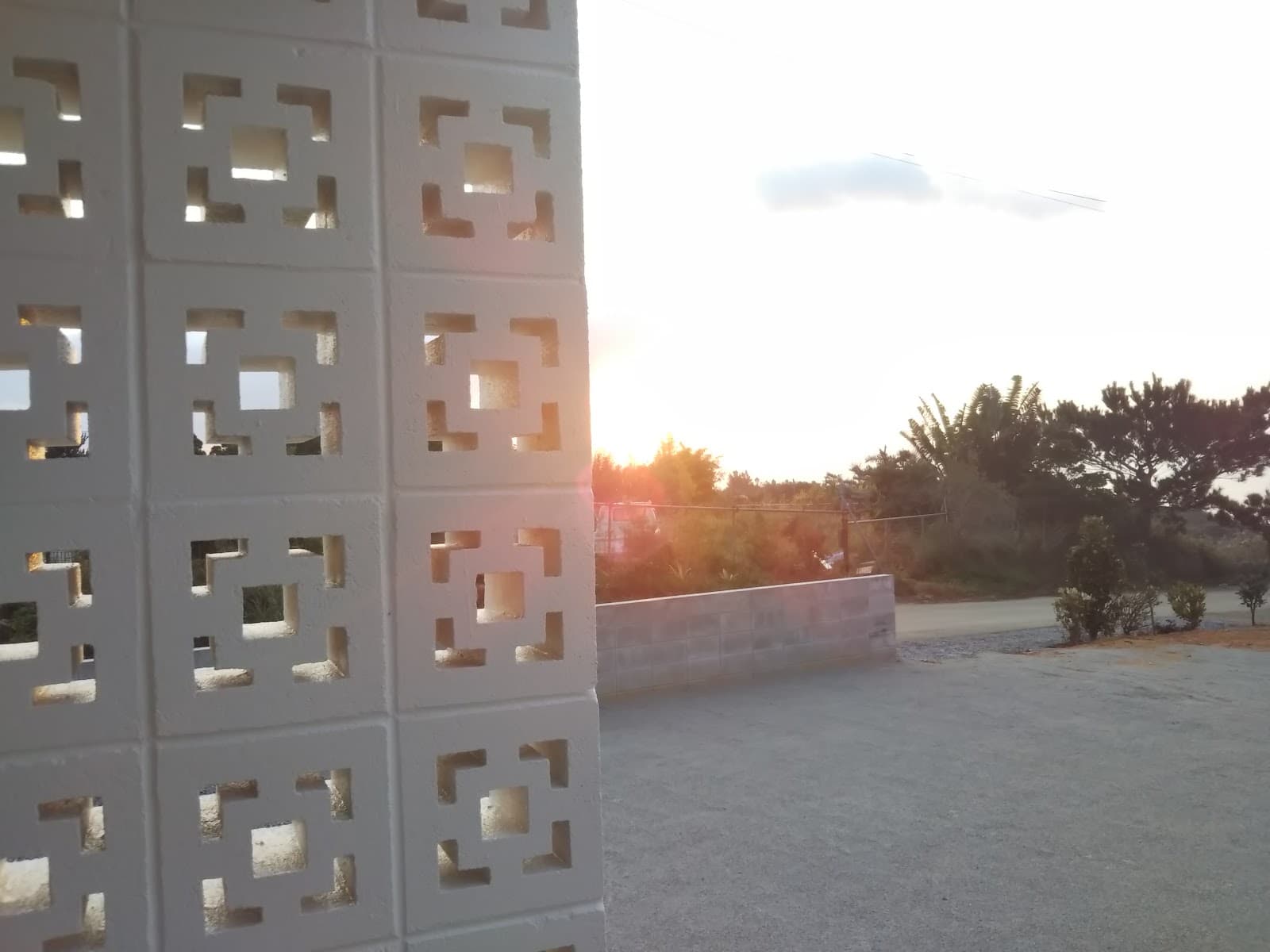 東村字宮城ハルヤー