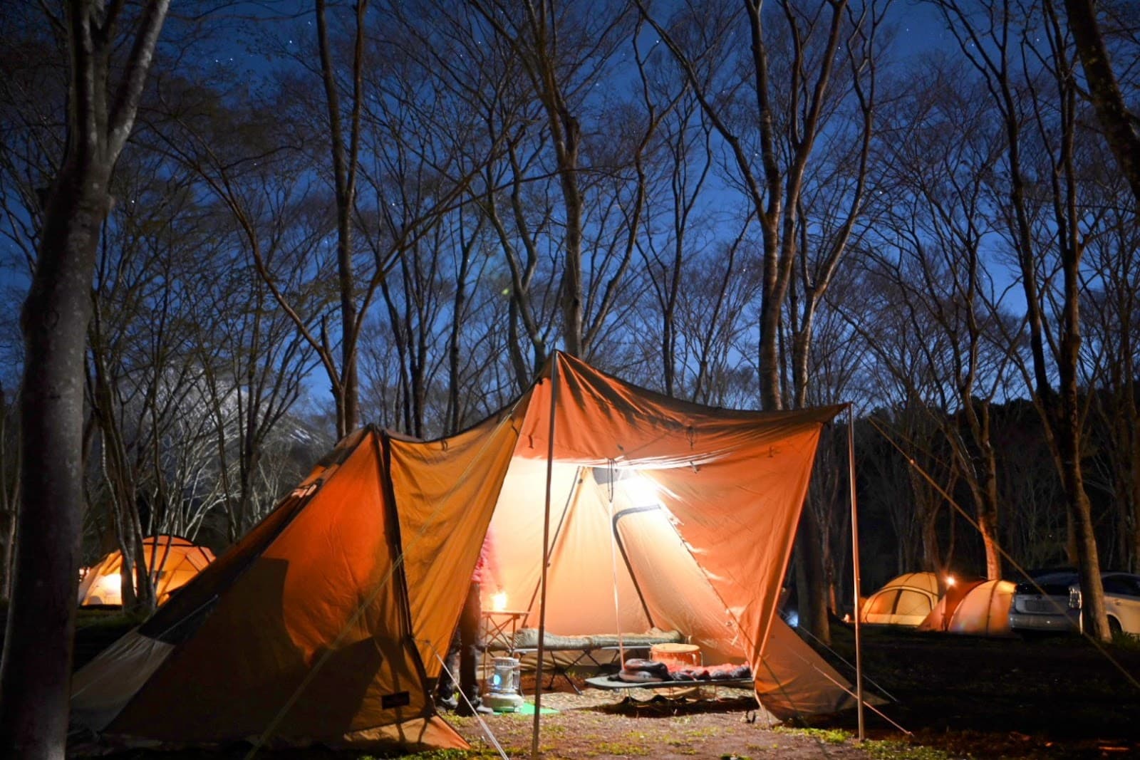 村山ジャンボキャンプ場 林間サイト
