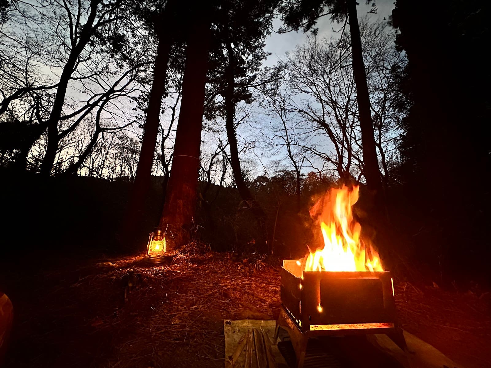 月川荘キャンプ場 林間サイト