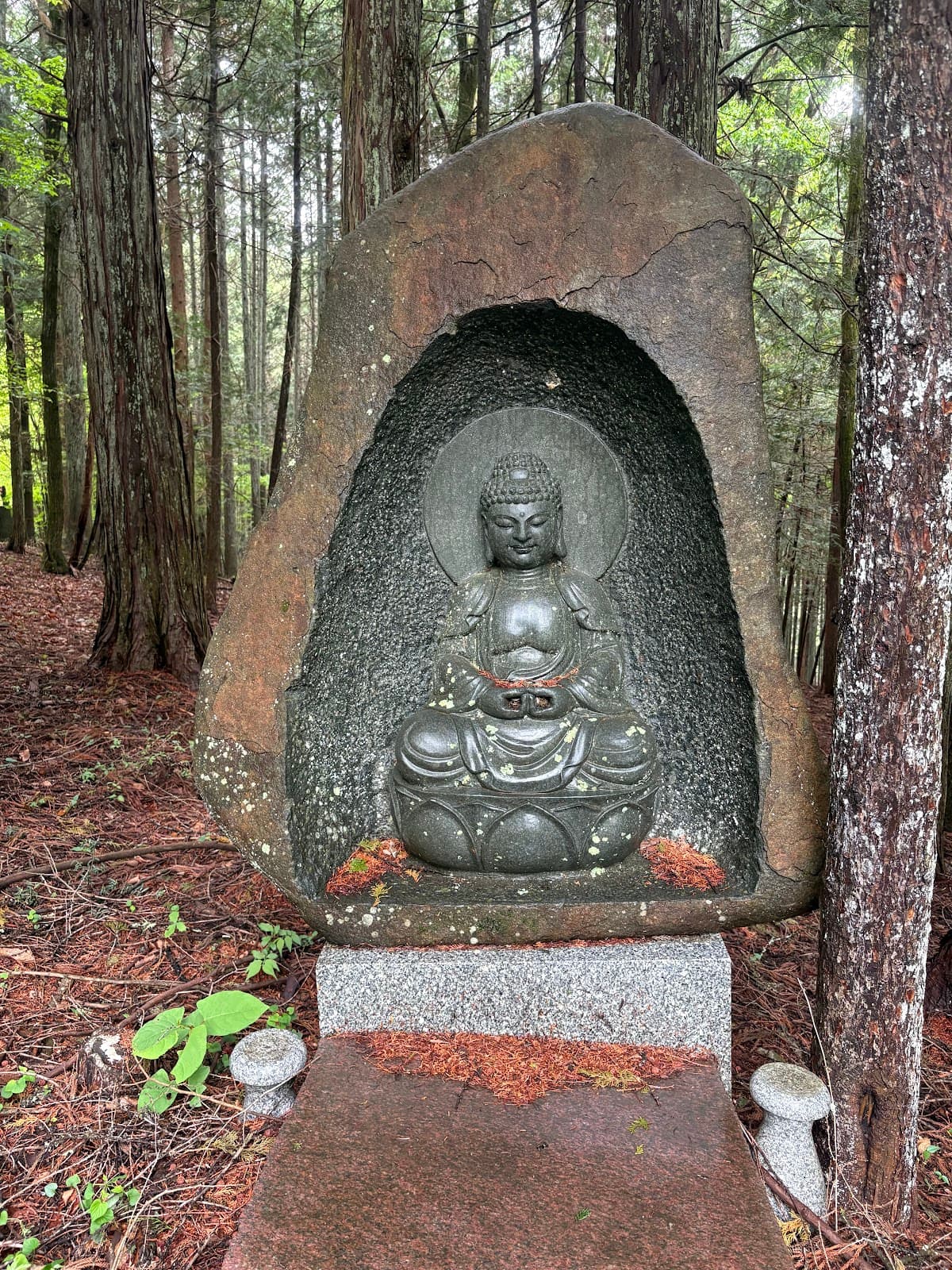 エコパ伊奈ヶ湖オートキャンプ場