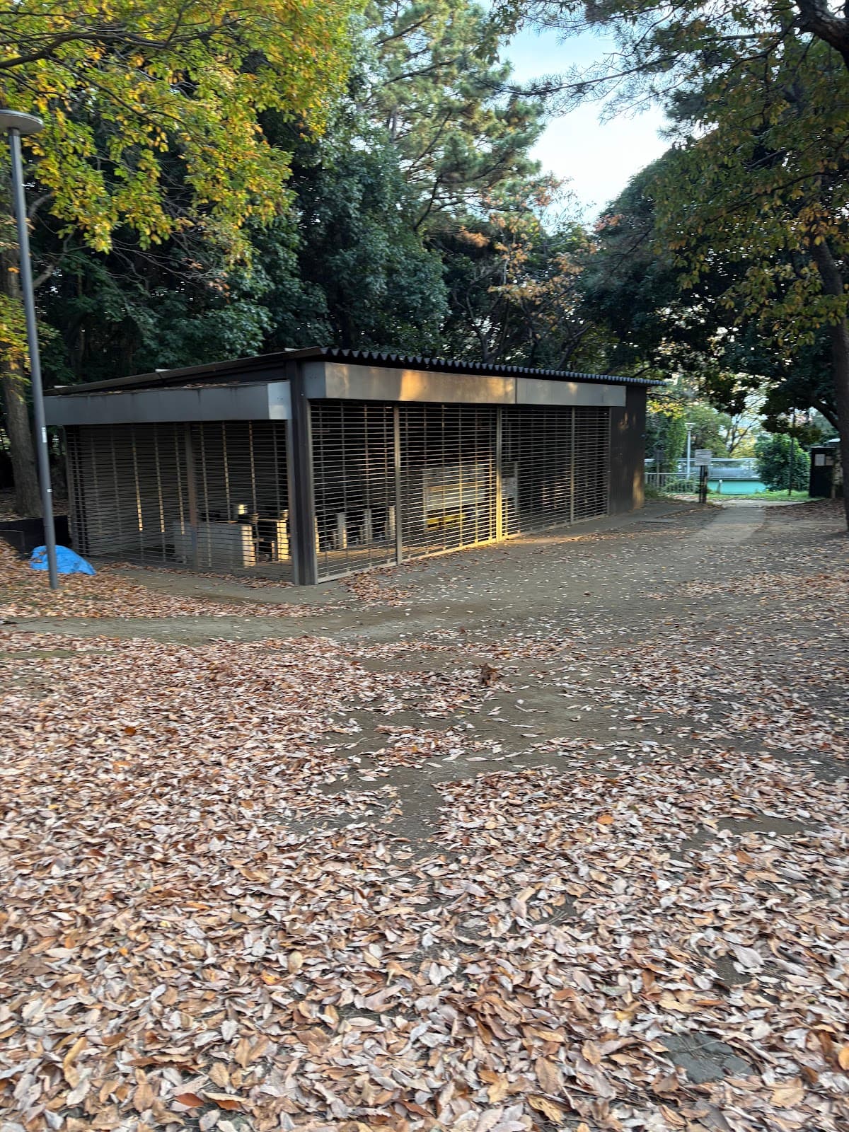 品川区キャンプ場