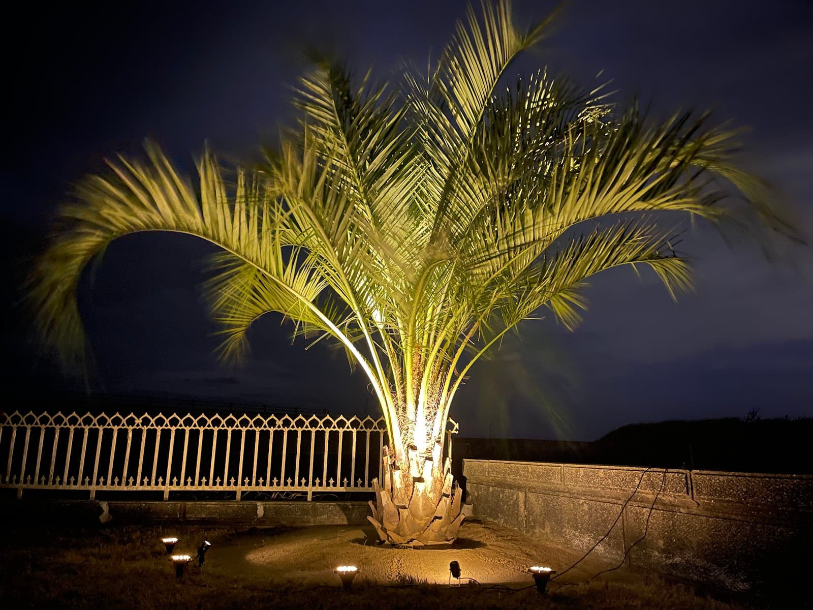 Surf & Turf MALIBU【サーフアンドターフマリブ】