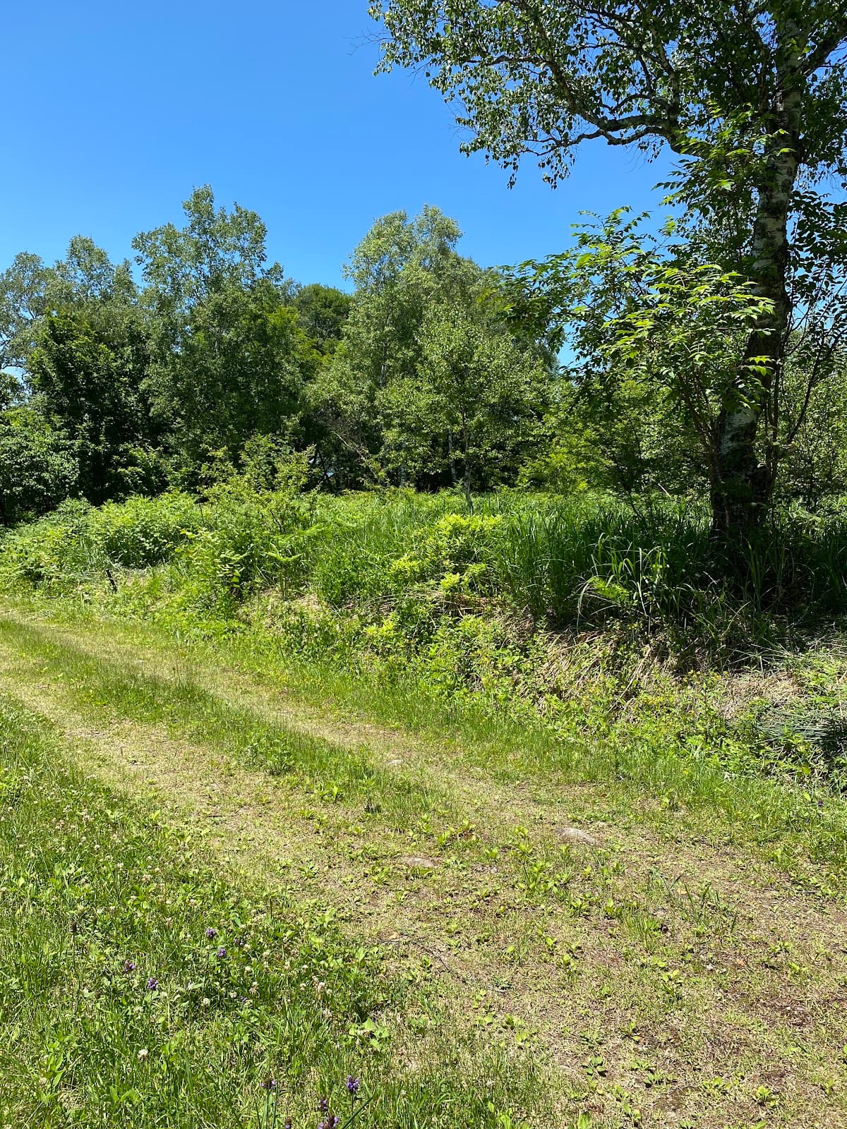 高山子ノ原高原キャンプ建物付