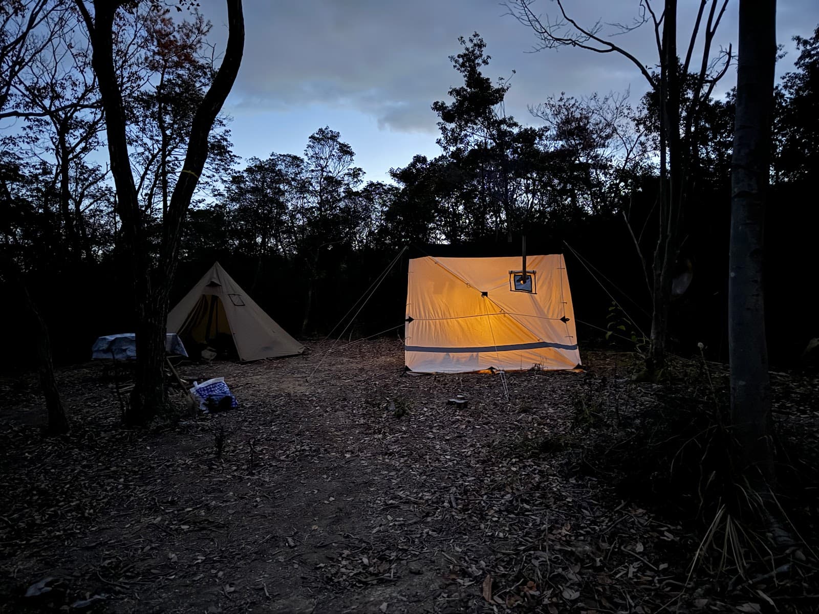 AINO AINO HILLS camp dogrun